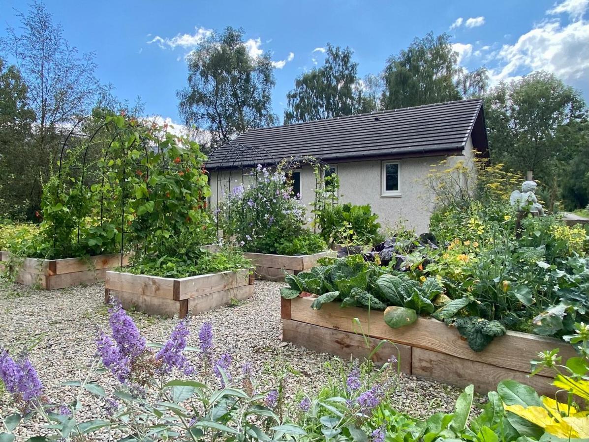 Homestead Cottage, حصن أوغسطس المظهر الخارجي الصورة