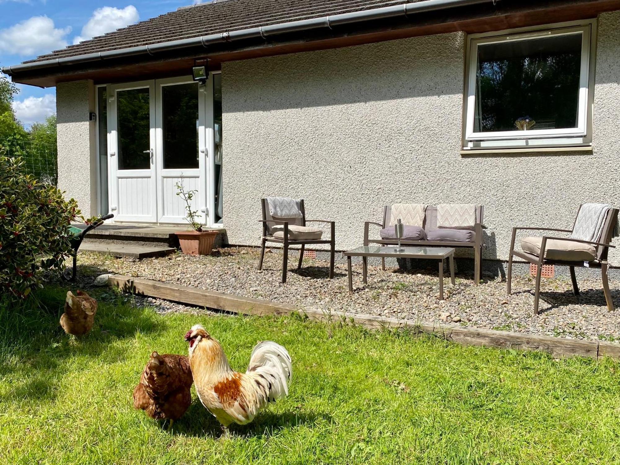Homestead Cottage, حصن أوغسطس المظهر الخارجي الصورة